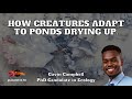 ep. 34 how creatures can change when their habitat is drying up