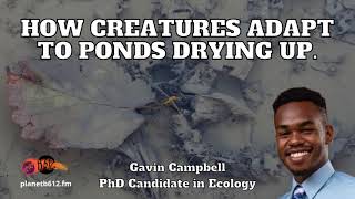 Ep. 34: How creatures can change when their habitat is drying up!