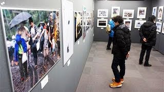 ニュースの一瞬切り取る 札幌で報道写真展（2013/１2/20）北海道新聞