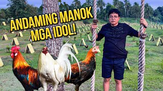 NILIBOT NAMIN ANG BALUARTE GWAPO AT ANG INDANG CAVITE | Romeo Catacutan - Idol Tiktok