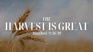 Evangelism and Missions: The Harvest is Great // Dr. Sam Owusu - Sunday, January 12th, 2025