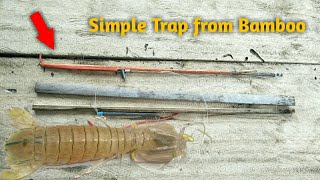 How to trap bamboo mantis shrimp