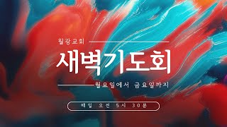 새벽기도회ㅣ25.02.05(수) 월광교회ㅣ요한복음 강해ㅣ이기철 담임목사