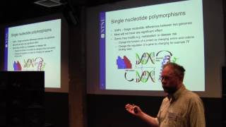 Statistical analysis of genomic tracks