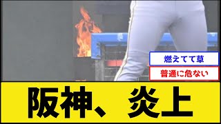 阪神、炎上【阪神タイガース】【プロ野球なんJ 2ch プロ野球反応集】