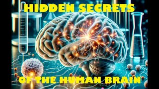 W.T.F 10 Hidden Secrets of the Human Brain