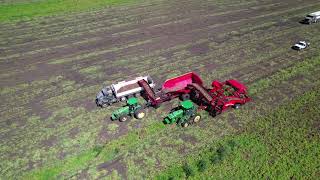 RDO Farms Potato Harvest 2022