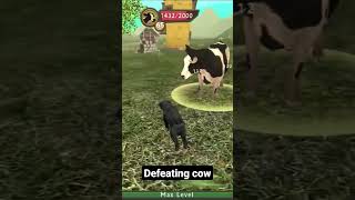 Defeating Angry Cow (Dog Sim)