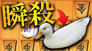 【神研究】このアヒル対策使ってみな、一瞬でトブぞ