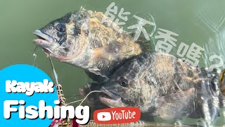 【舟釣路亞】能不香嗎? Kayak Fishing Taiwan