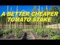 Use These As A BETTER, CHEAPER Alternative To Tomato Stakes To Support Your Tomato Plants