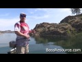 dropshot senko what you need to know bass fishing