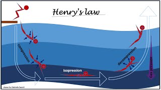 Scuba Diving Risks - Decompression Sickness