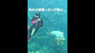 【リアル】下田海中水族館　飼育員あるある#shorts