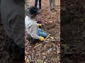 he’s caught 100s of coyote with this one simple set. predator trapping demo.