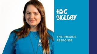 HSC Biology | The Immune Response