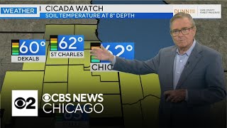 Mild weather covers Chicago area
