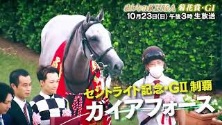 【フジテレビ公式】みんなのKEIBA＜10月23日(日)午後3時＞菊花賞・GIスペシャル動画