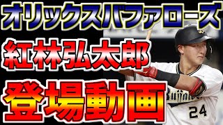 オリックスバファローズ🐮紅林弘太郎登場動画　#オリックスバファローズ #オリックス #紅林弘太郎 #紅林 #Shorts #紅に染まった