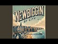 Newbiggin By City