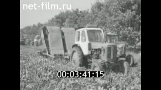 1977г. колхоз Россия. Винницкая обл