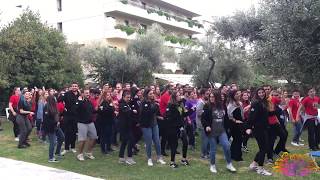 MC Boomerang 18 19 Roll Call  AIESEC in Greece