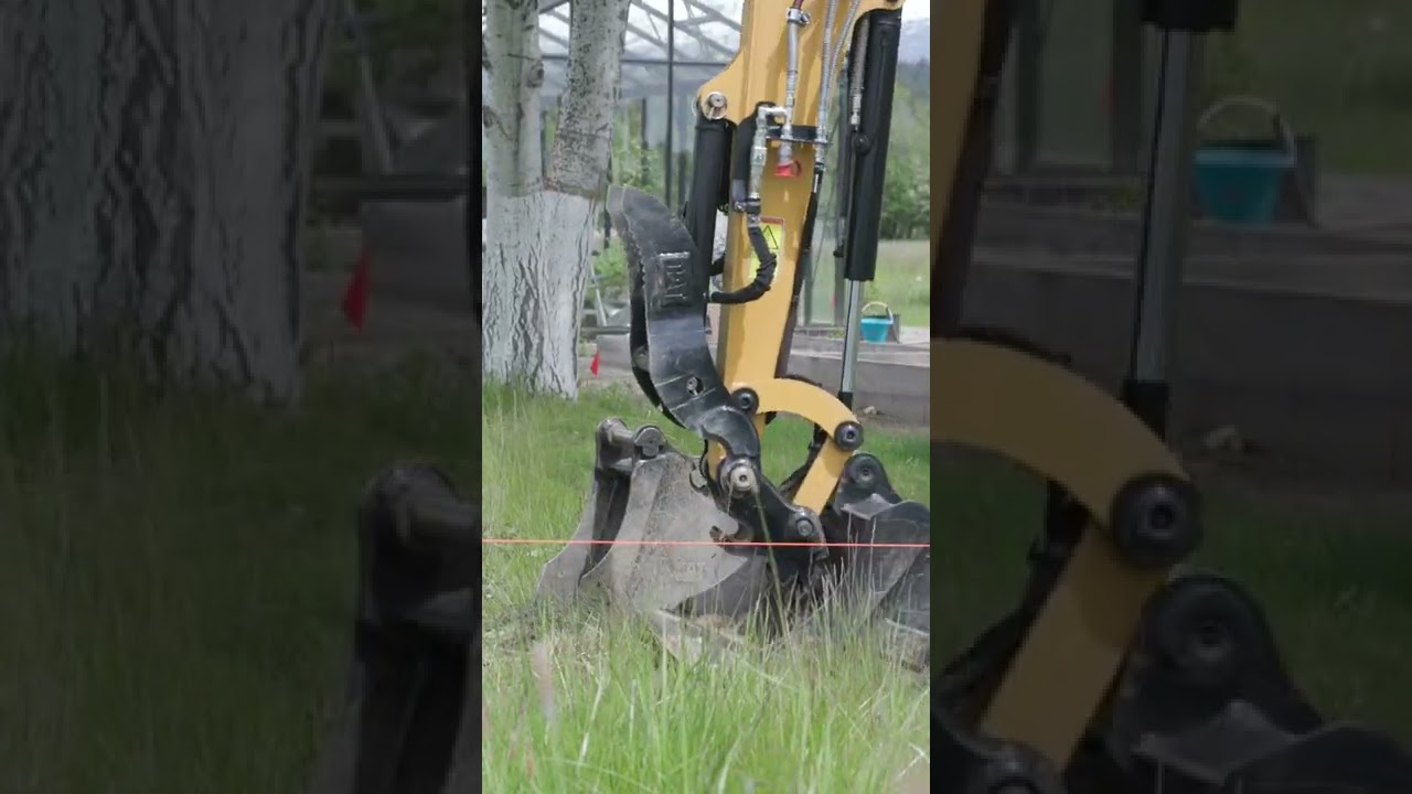 How To Operate A Cat Like A PROfessional Homeowner Wranglerstar