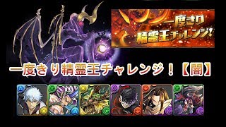 『パズドラ』一度きり精霊王チャレンジ！【闇】｜【BlueDragon】