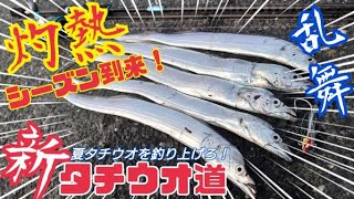 夏【新タチウオ道】シーズン到来！灼熱・ 夏タチウオ乱舞！北九州～大分県北部必見！みんなで夏タチウオを釣り上げろ～(^^♪