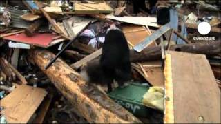 Survivors search for hope among the rubble