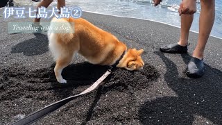 【伊豆大島②】愛犬と行く！！大島の綺麗な海と幻想的な場所を紹介！！