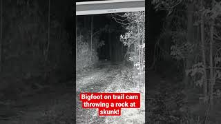 Bigfoot on Trail Camera Throwing a Rock at a Skunk! | Squatch Watchers Short Rewind