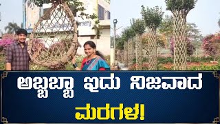 ಅಬ್ಬಬ್ಬಾ ಇದು ನಿಜವಾದ ಮರಗಳ! | Tree | Gardening | @publictalks