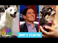 The Sharks Drool For Dog Treats | Shark Tank: How It Started | CNBC Prime