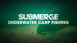 1.5 Hour Full Film - Underwater Carp Fishing - Cypography Submerge Pt.1