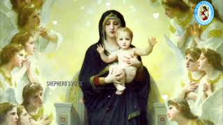 തന്നുള്ളം കയ്യിൽ II THANNULLAM KAYYIL II Whatsapp Status II HAPPY FEAST OF MOTHER MARY