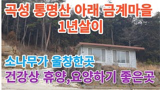 곡성 통명산 아래 금계마을 1년살이 세 놓습니다.#구독 #좋아요 #귀촌 #1년살이