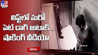 లిఫ్ట్‌లో మరో పెట్‌ డాగ్‌ అటాక్‌ .. షాకింగ్‌ వీడియో. - TV9