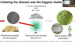 José Solórzano: Developing methods to study tar spot, an emerging disease threatening corn ...