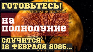 ЧТО СЛУЧИТСЯ на ПОЛНОЛУНИЕ 12 февраля 2025, во время СНЕЖНОЙ ЛУНЫ. ЧЕМ ОПАСНО для ВСЕХ