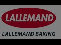 happy holidays from lallemand baking