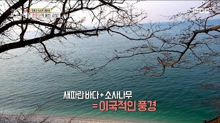 [생방송 오늘 아침] 영흥도의 명소! '십리포 해수욕장', MBC 220421 방송