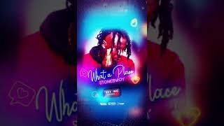 Stonebwoy - What a Place (Sexting Riddim) "2019 Dancehall" (Official Audio)