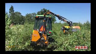 Ferri Boom Mower in Blueberries