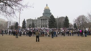 Protesters against Trump, Musk gather at Colorado capitol on Presidents Day