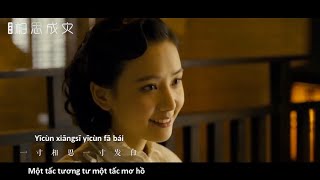 [Vietsub] Tương Tư Thành Hoạ - Trịnh Diệc Thần | 相思成灾 - 郑亦辰 (MV)