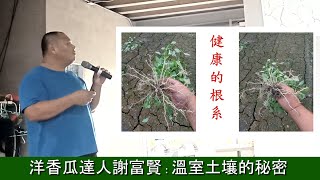 洋香瓜達人謝富賢溫室土壤的秘密