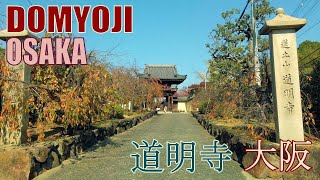 【4K Town Walking Japan #272】Domyoji  OSAKA  城镇漫歩  道明寺 大阪