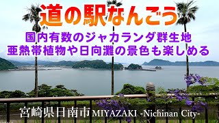 【道の駅なんごう】国内有数のジャカランダ群生地！亜熱帯植物や日向灘の景色も楽しめる『宮崎観光』Miyazaki,Nichinan City,Roadside Station Nangou