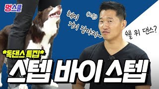 [Eng sub/日本語字幕] *독댄스 특집* 강아지 ‘스텝 바이 스텝’ 해보개｜강형욱의 멍스쿨